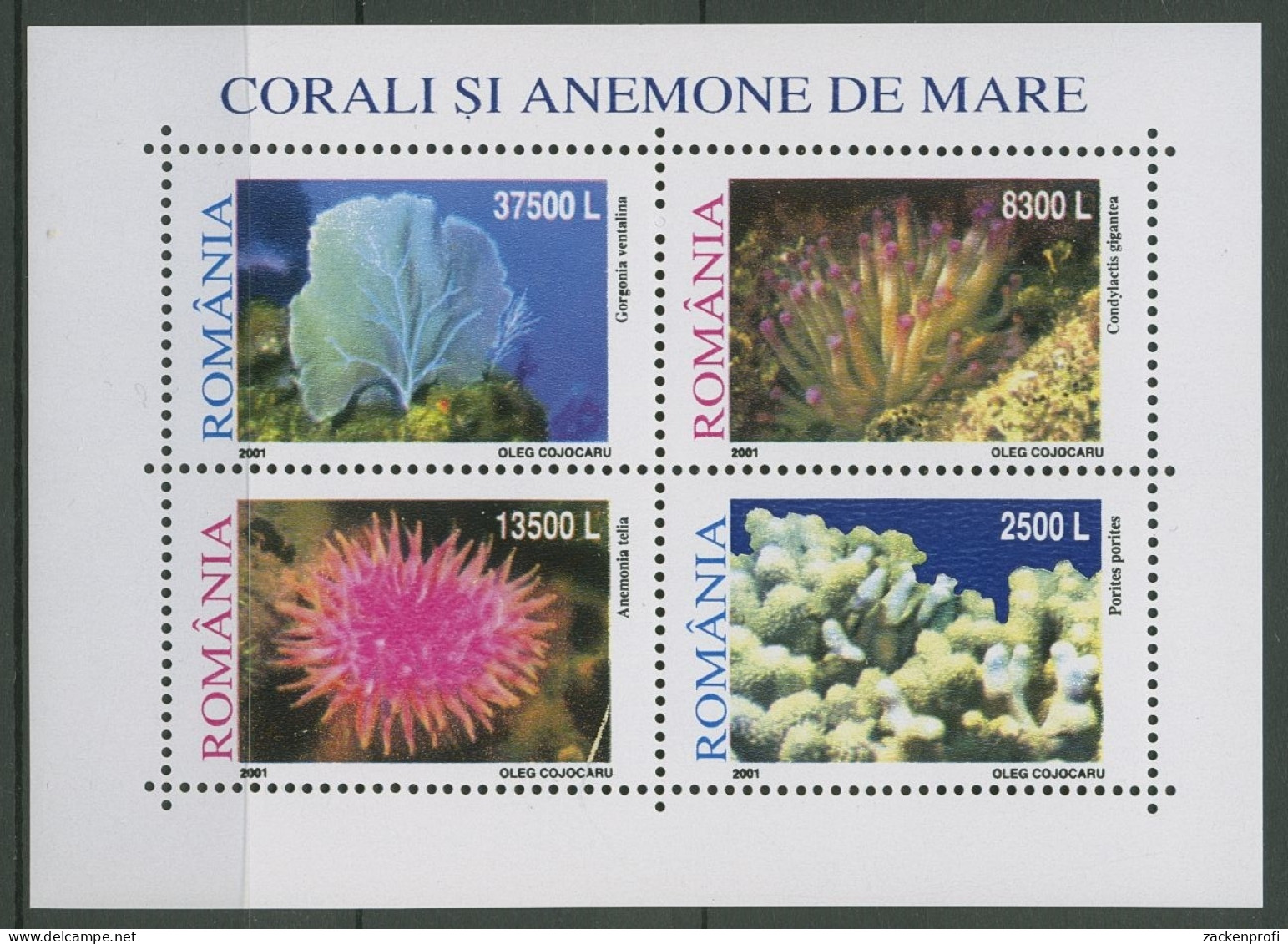 Rumänien 2001 Korallen Seeanemonen Block 318 Postfrisch (C92201) - Blocks & Sheetlets