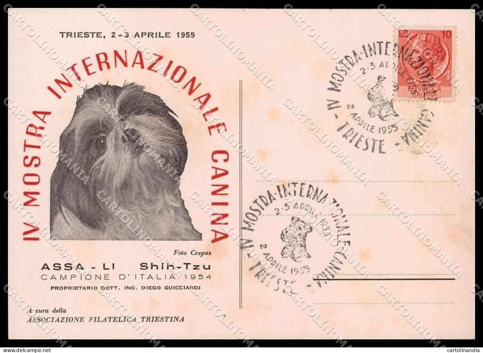 Trieste Mostra Internazionale Canina 1955 Shih Tzu FG Cartolina ZG9201 - Trieste