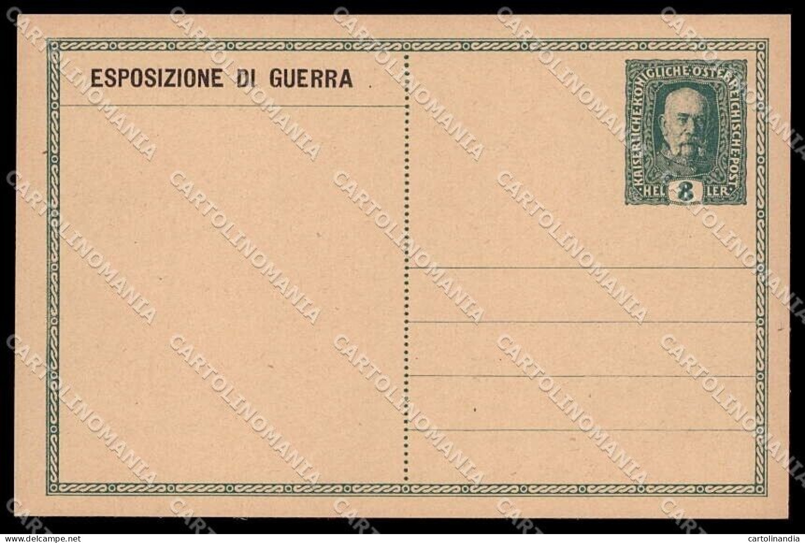 Trieste WW1 WWI Esposizione Di Guerra Intero 1917 Cartolina ZG9752 - Trieste