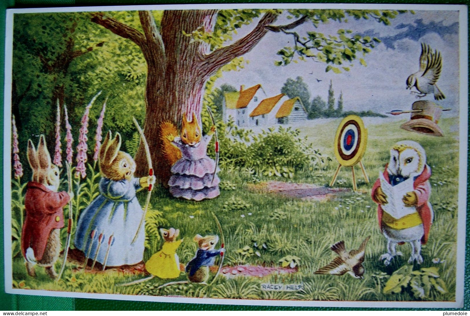 CPA HIBOU , ECUREUIL , LAPIN Humanisés , Sport TIR A L ARC , RACEY HELPS , Dressed OWL RABBIT ARROW MEDICI SOCIETY A/s - Animaux Habillés