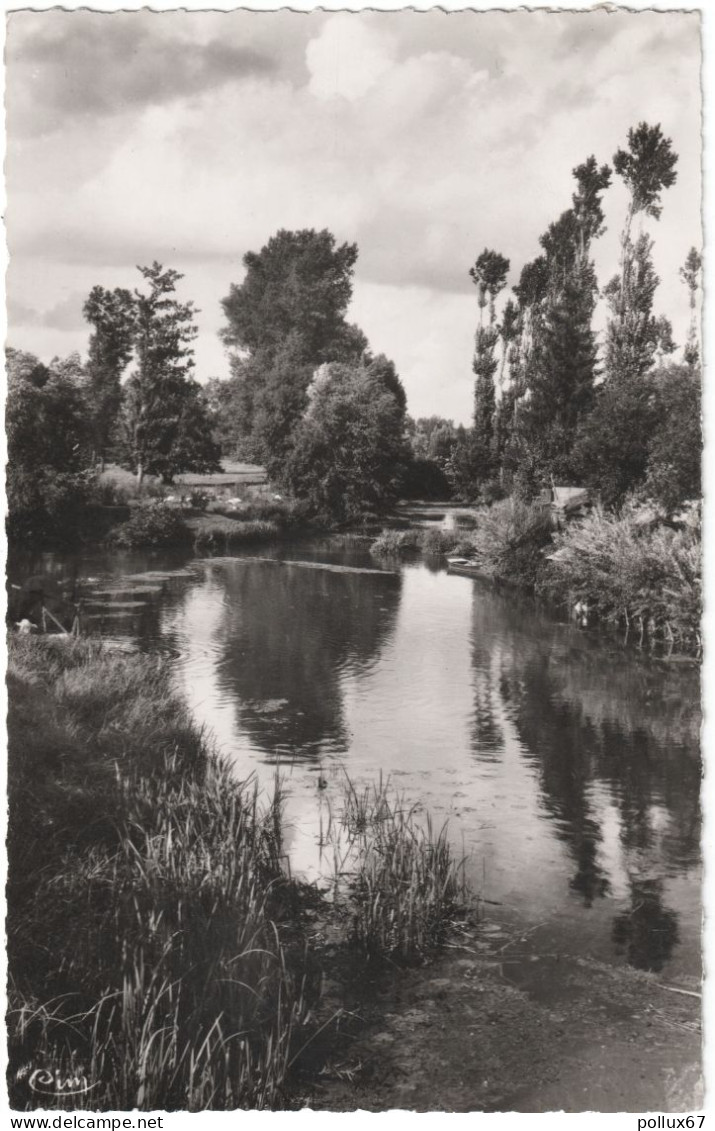 CPSM DE CHARNY (YONNE)  UN COIN SUR  L'OUANNE - Charny