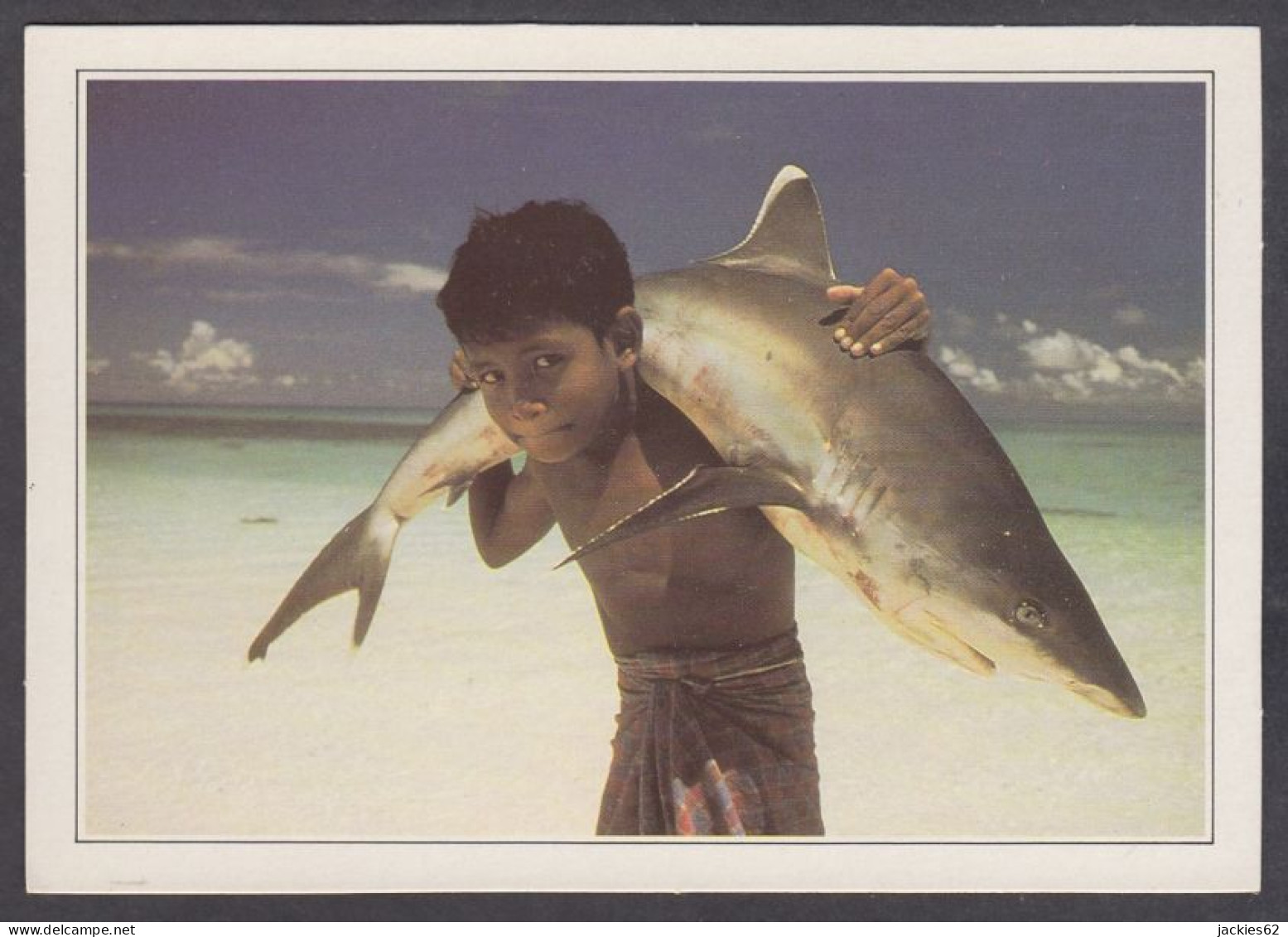 130004/ MALDIVES, Requin à Pointe Blanche - Geographie