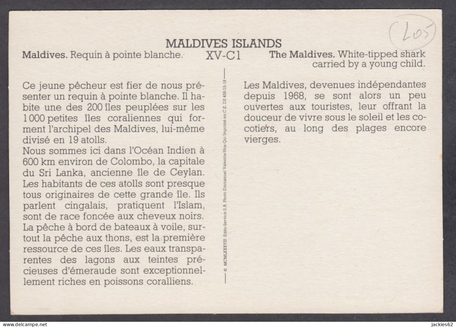 130004/ MALDIVES, Requin à Pointe Blanche - Geografia