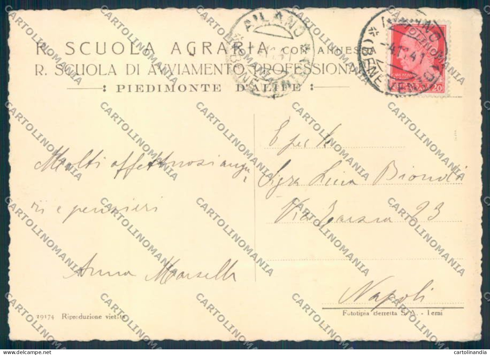 Caserta Piedimonte Matese FG Cartolina ZF7978 - Caserta