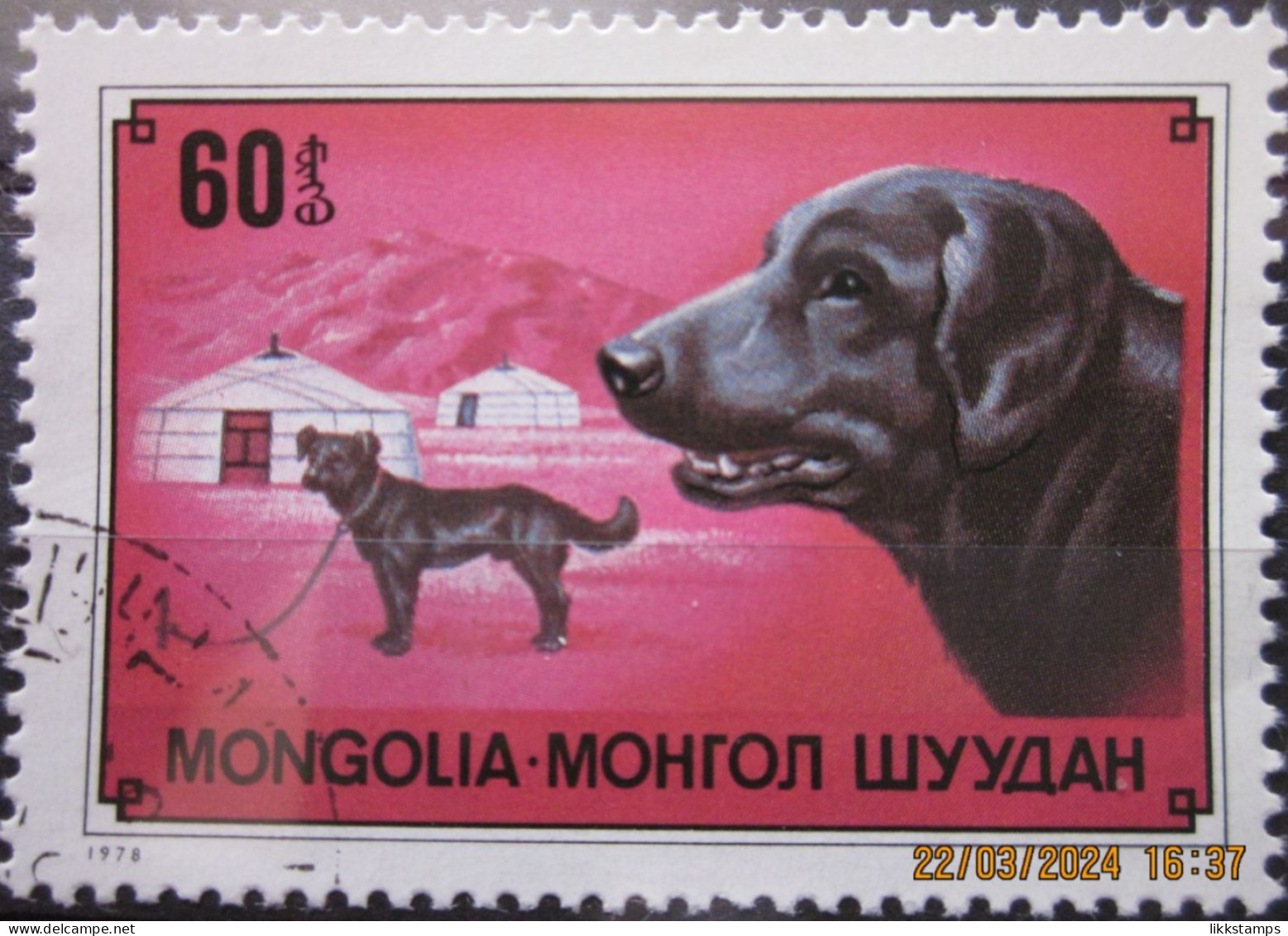 MONGOLIA ~ 1978 ~ S.G. NUMBERS 1157, ~ DOGS. ~ VFU #03479 - Mongolei
