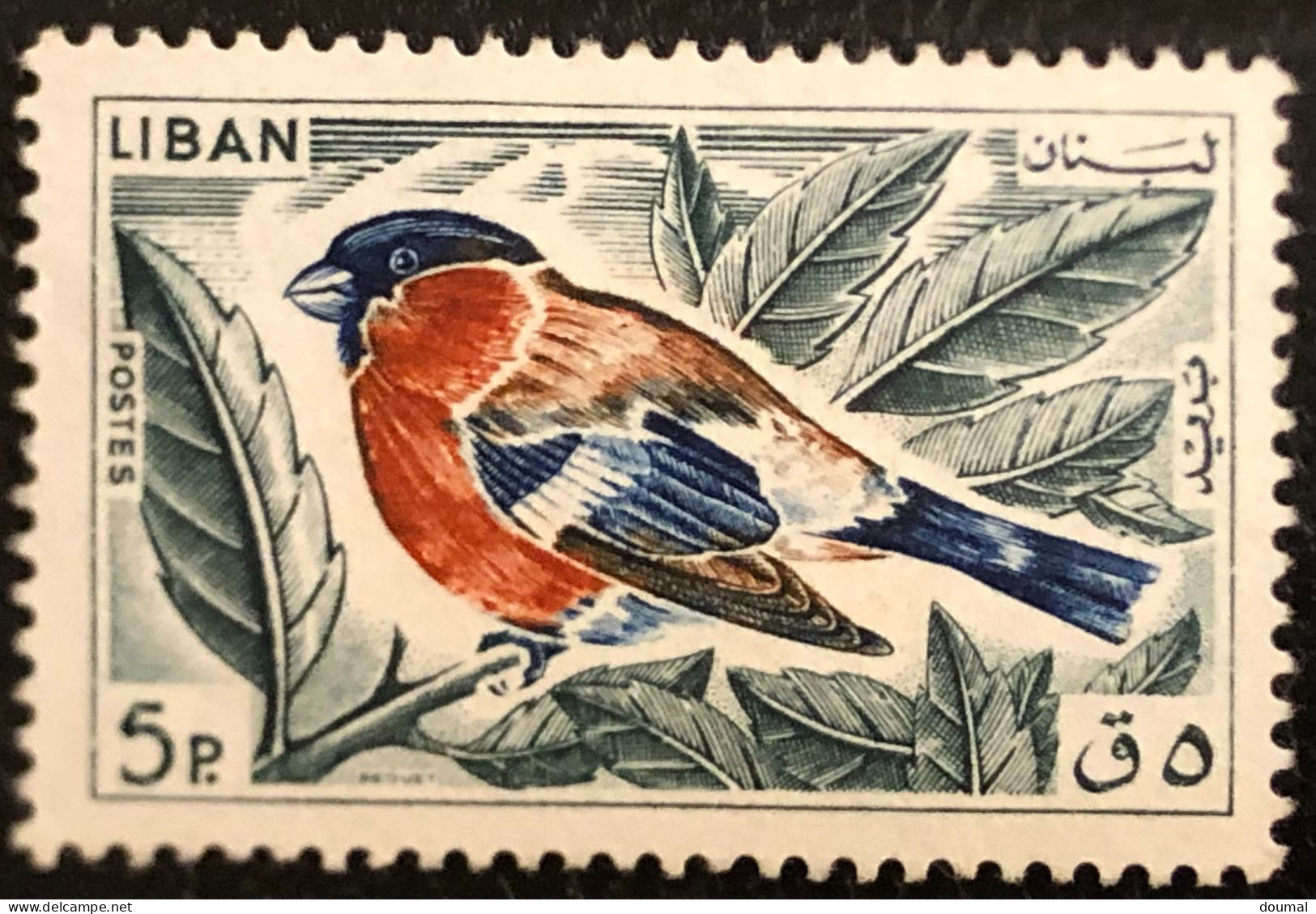 Lebanon Bird Stamps From Lebanon 5 Piastres Year 1950 - Lebanon