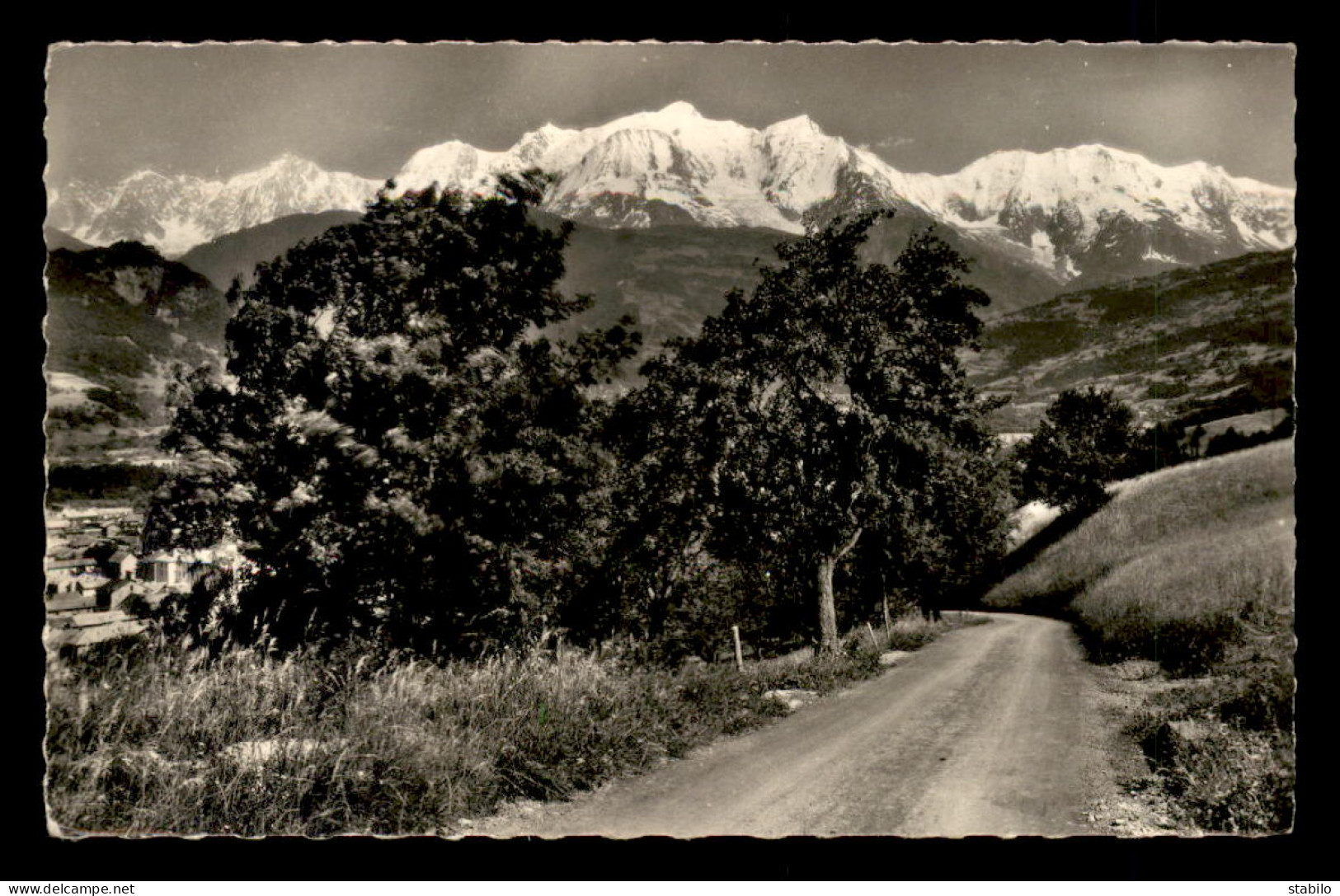 74 - SALLANCHES - VUE SUR LE MONT-BLANC - Sallanches