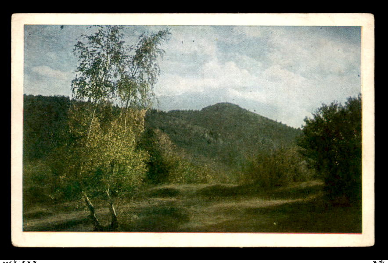 BULGARIE - VITOCHA - LES CLAIRIERES DES VIEILLARDS - Bulgaria