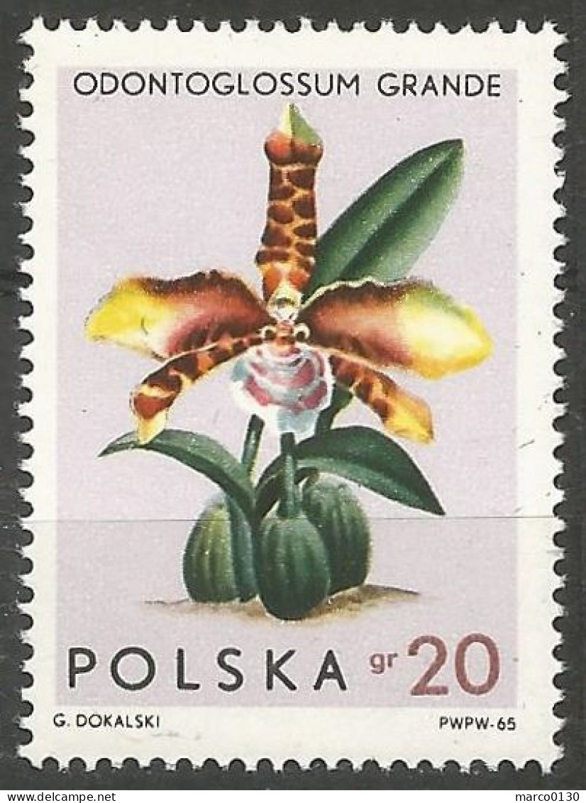 POLOGNE  N° 1463 NEUF - Unused Stamps