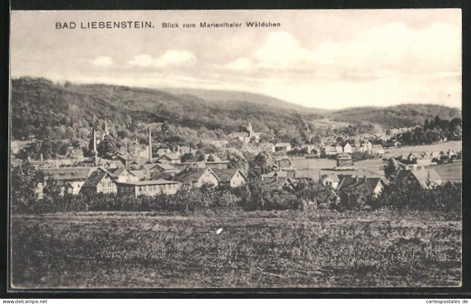 AK Liebenstein, Ortspartie, Blick Vom Marienthaler Wäldchen  - Bad Liebenstein