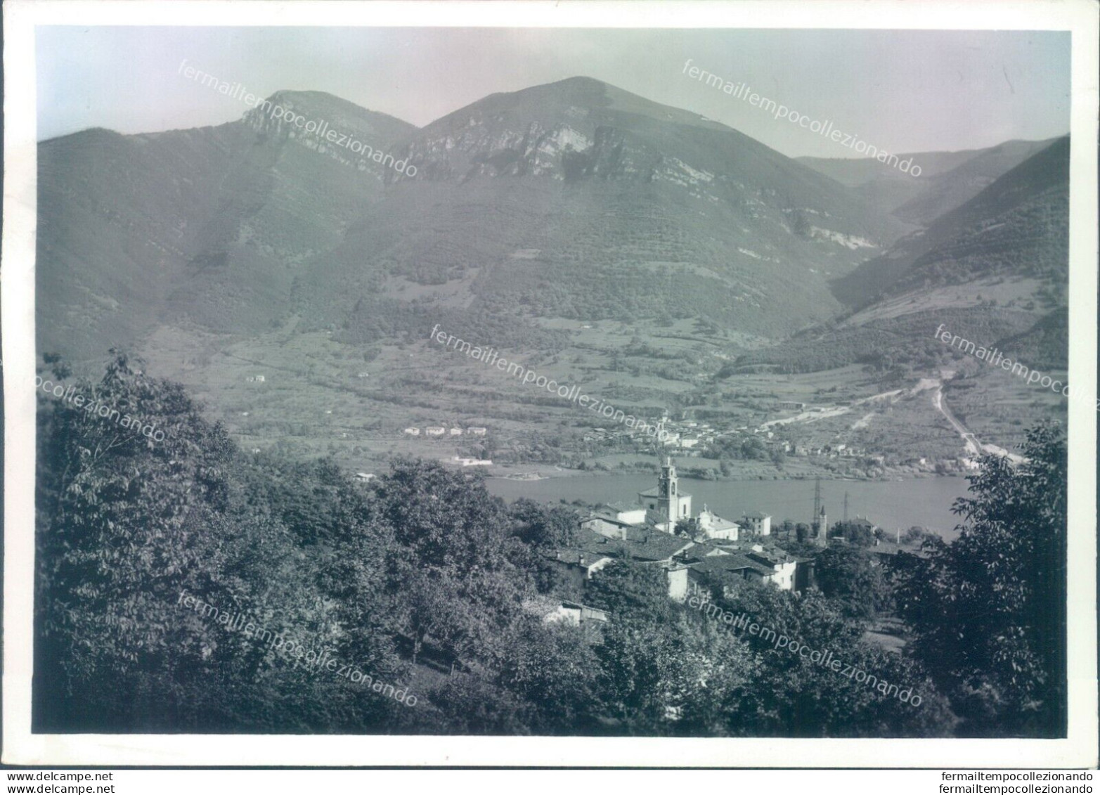 O686 Bozza Fotografica Spinone Provincia Di Bergamo - Bergamo