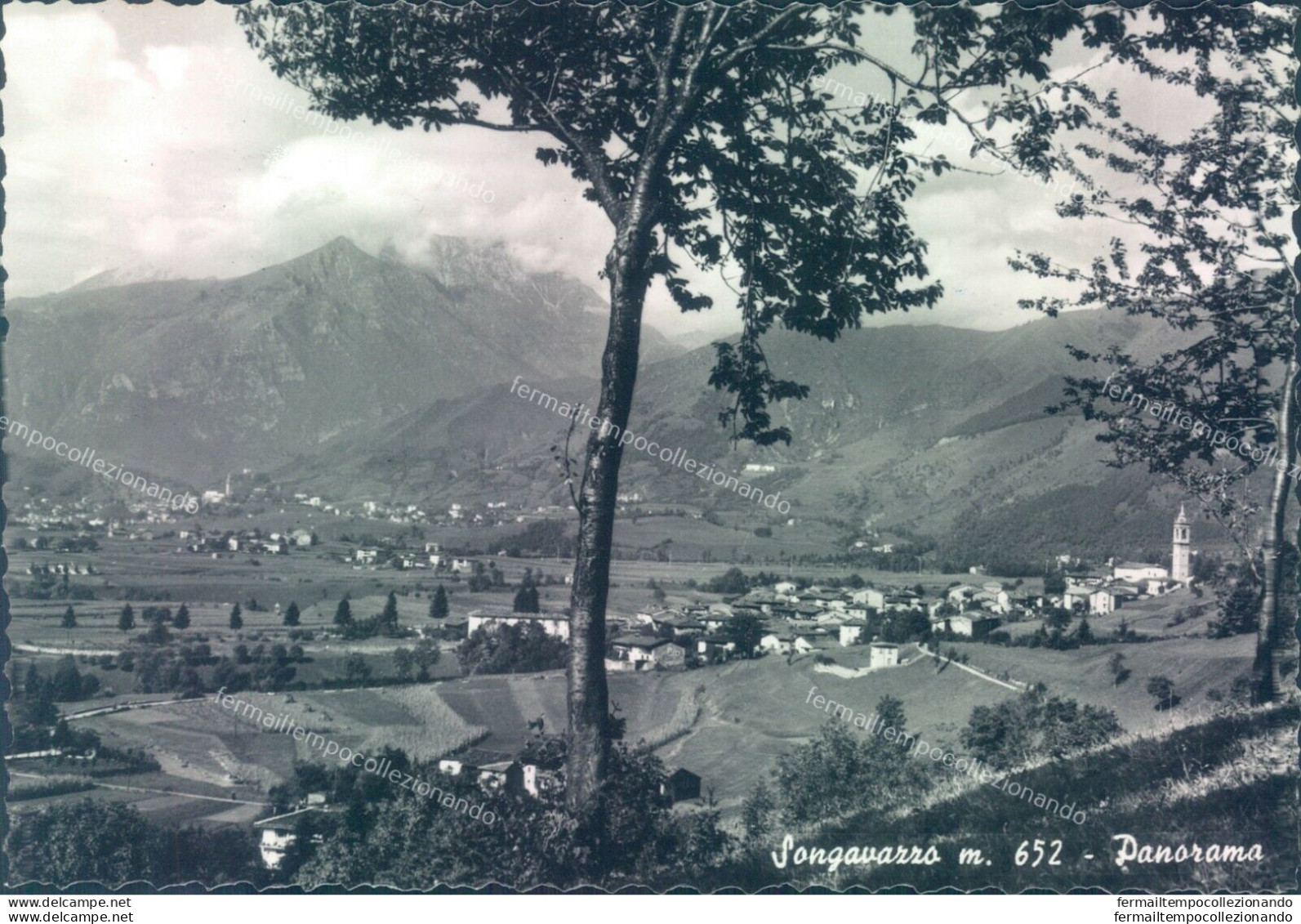 O521 Cartolina Songavazzo Panorama Provincia Di Bergamo - Bergamo