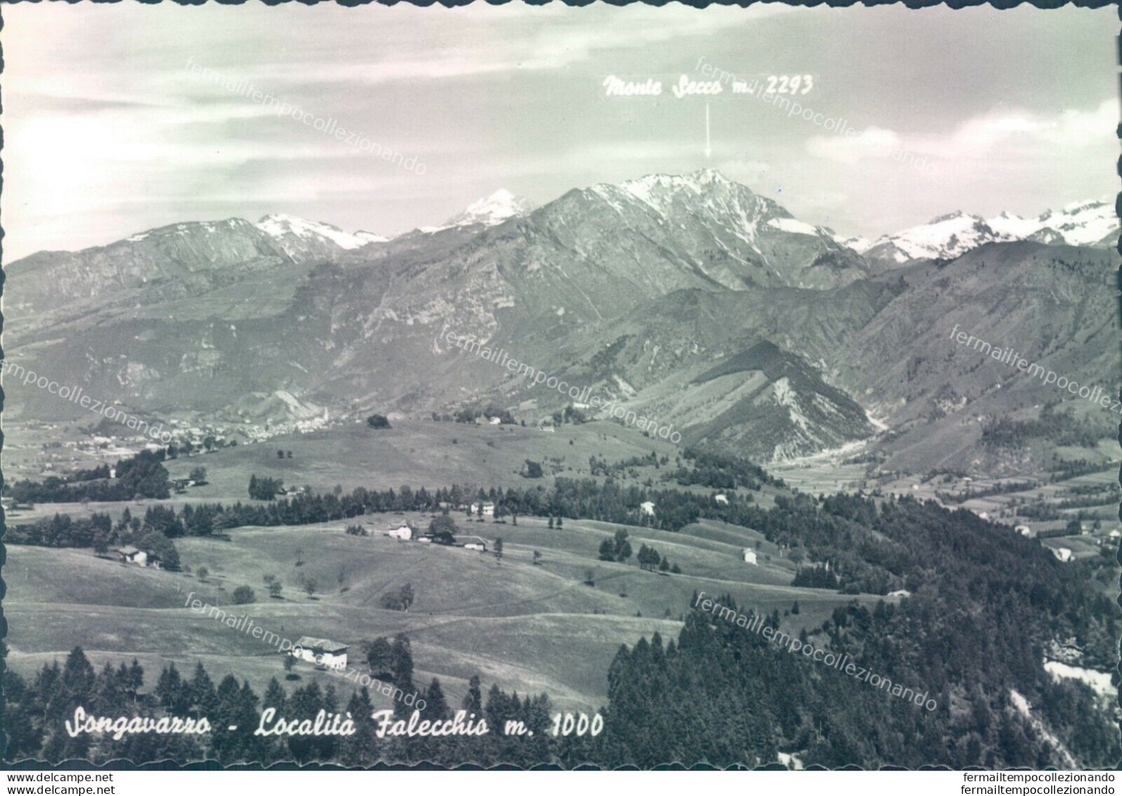 O507 Cartolina Songavazzo Panorama Provincia Di Bergamo - Bergamo