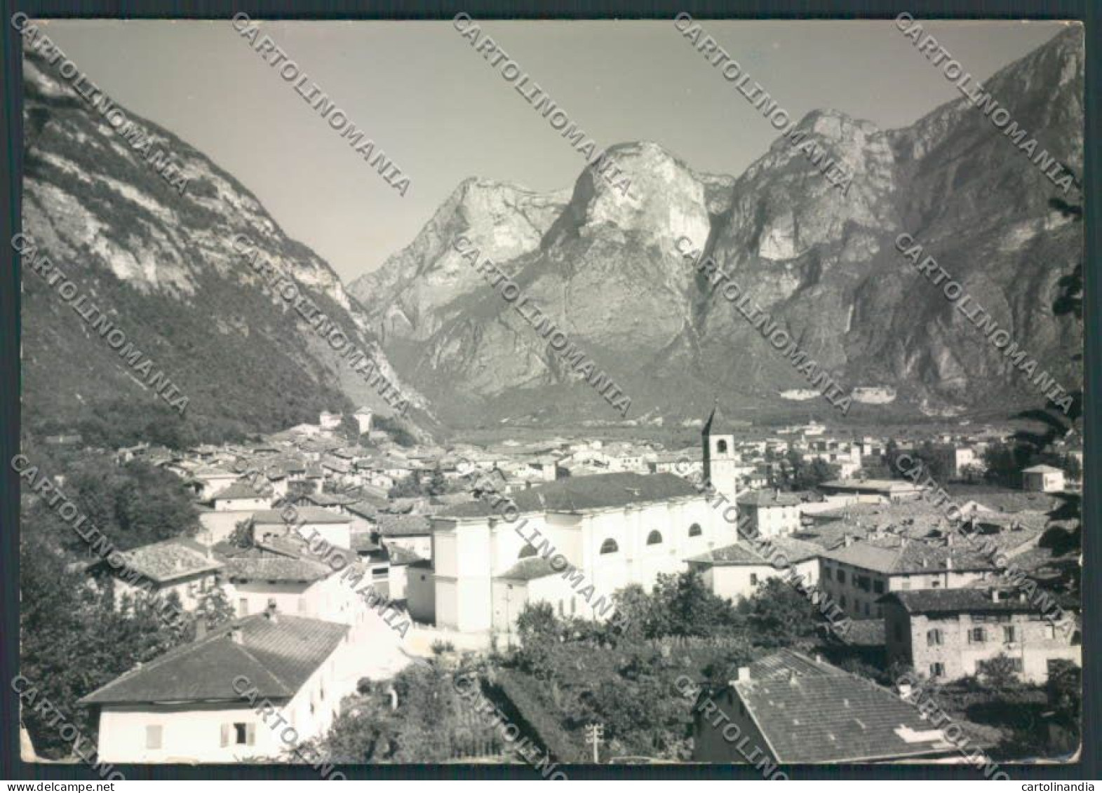 Trento Mezzolombardo Foto FG Cartolina ZF1198 - Trento