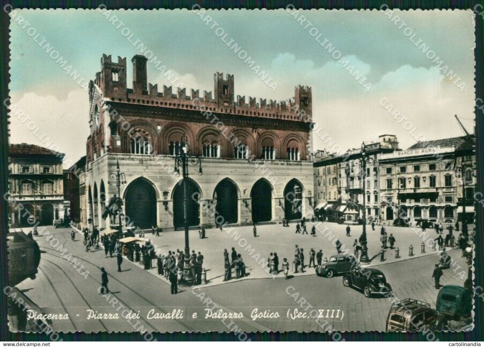 Piacenza Città Auto Foto FG Cartolina ZKM8431 - Piacenza