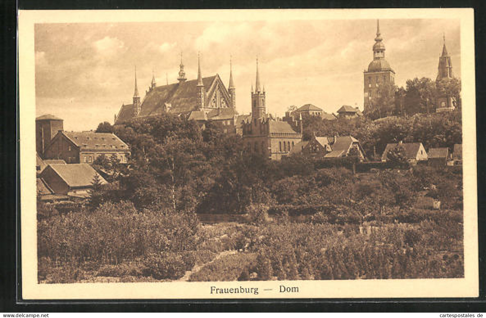 AK Frauenburg, Dom  - Ostpreussen