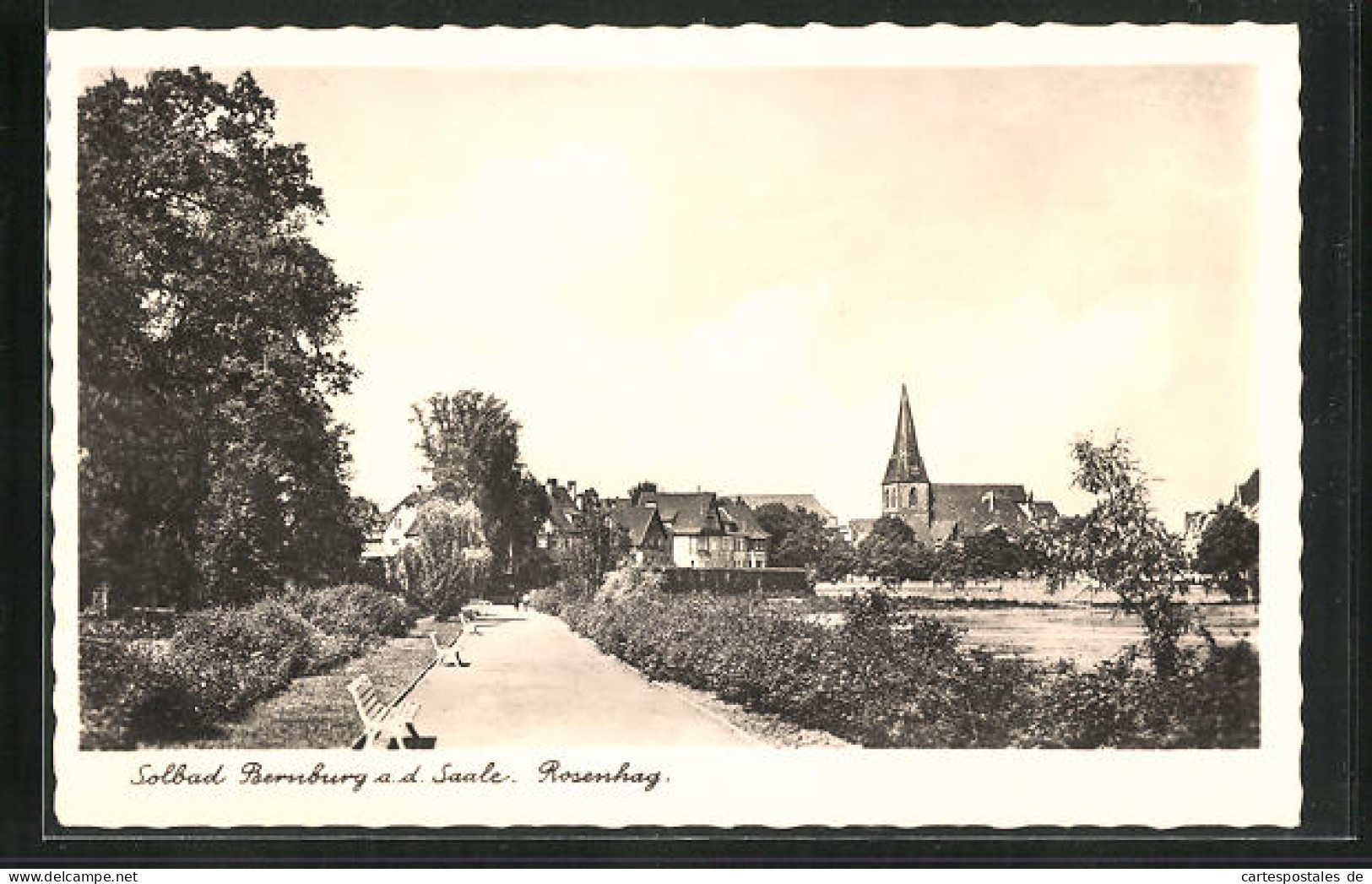 AK Bernburg A. D. Saale, Gartenanlagen Des Rosenhag  - Bernburg (Saale)