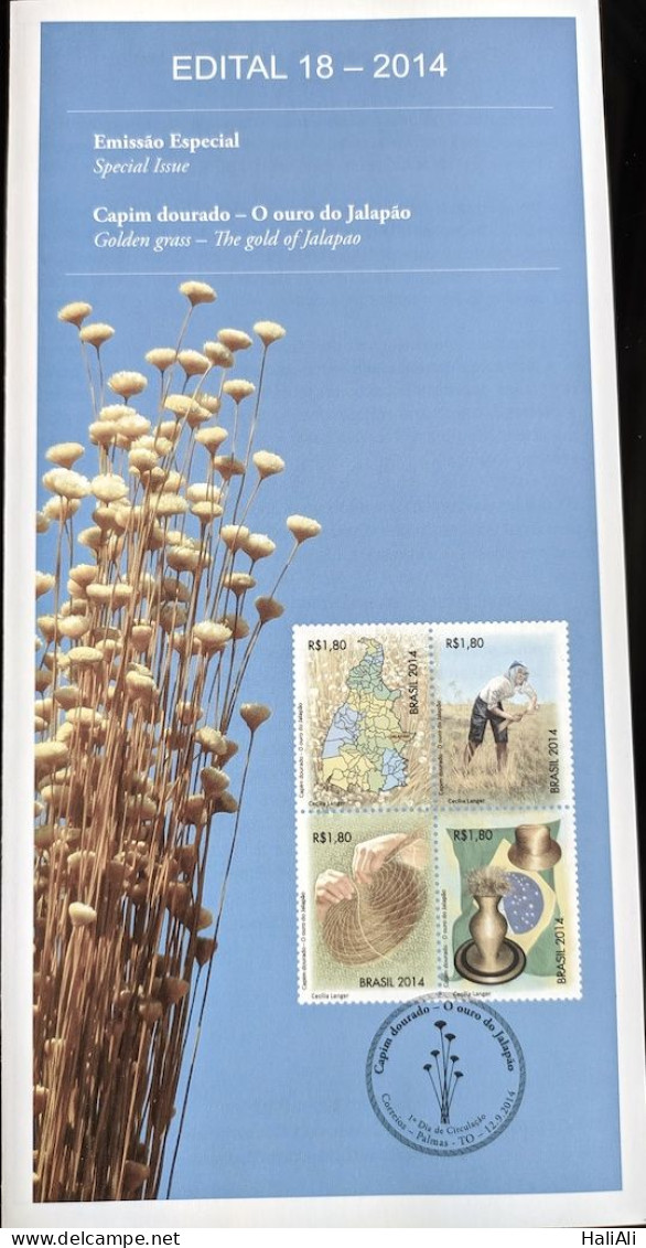 Brochure Brazil Edital 2014 18 Capim Dourado Jalapao Economy Without Stamp - Storia Postale