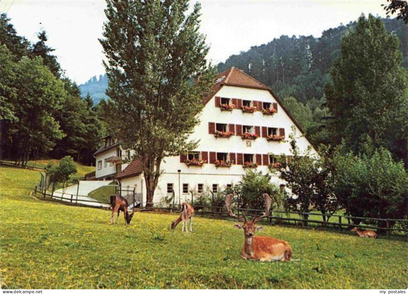 73971539 BADENWEILER_BW Sanatorium Vogelbach - Badenweiler