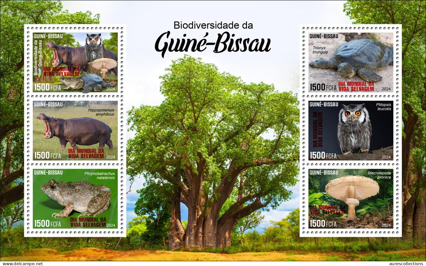 GUINEA BISSAU 2024 MS 6V - REG & OVERPRINT - MUSHROOMS OWL OWLS FROG FROGS TURTLE TURTLES HIPPOPOTAMUS BAOBAB MNH - Rane