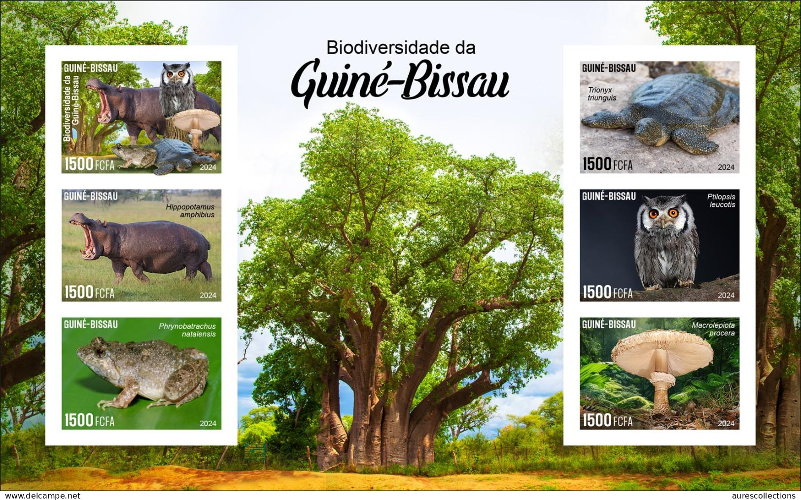 GUINEA BISSAU 2024 IMPERF MS 6V - REG & OVERPRINT - MUSHROOMS OWL OWLS FROG FROGS TURTLE TURTLES HIPPOPOTAMUS BAOBAB MNH - Frogs