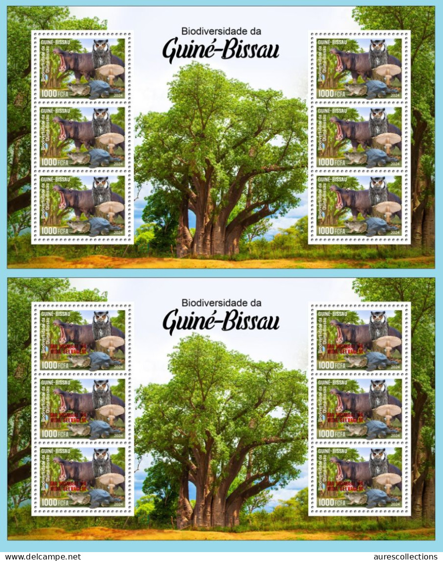 GUINEA BISSAU 2024 MS 6V - REG & OVERPRINT - MUSHROOMS OWL OWLS FROG FROGS TURTLE TURTLES HIPPOPOTAMUS BAOBAB MNH - Grenouilles