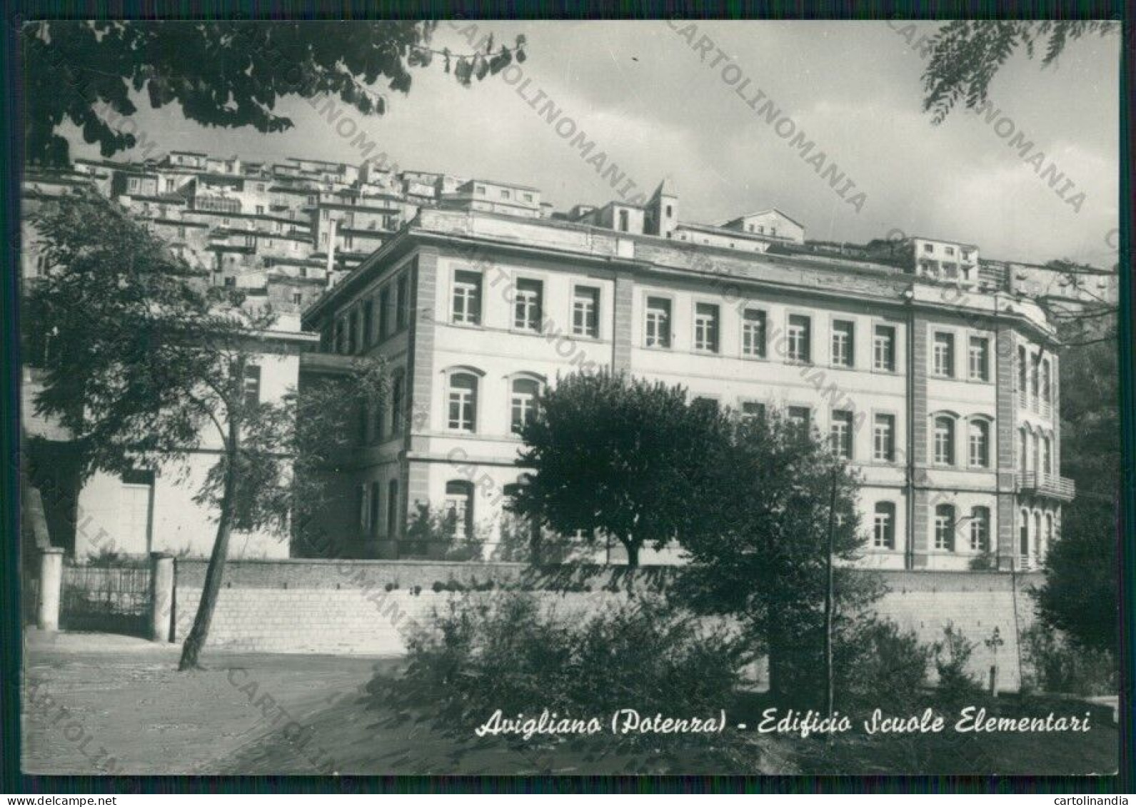 Potenza Avigliano Scuole Foto FG Cartolina ZK2187 - Potenza