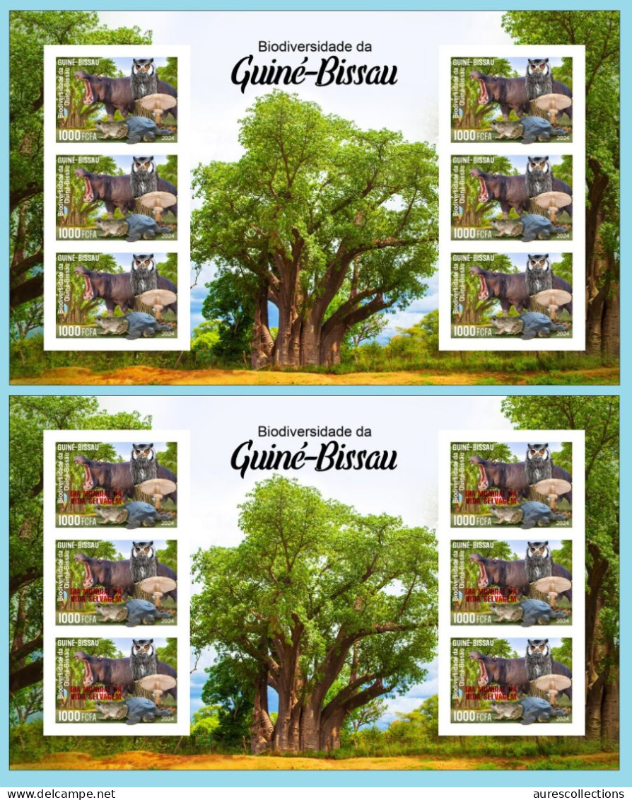 GUINEA BISSAU 2024 IMPERF MS 6V - REG & OVERPRINT - MUSHROOMS OWL OWLS FROG FROGS TURTLE TURTLES HIPPOPOTAMUS BAOBAB MNH - Rane