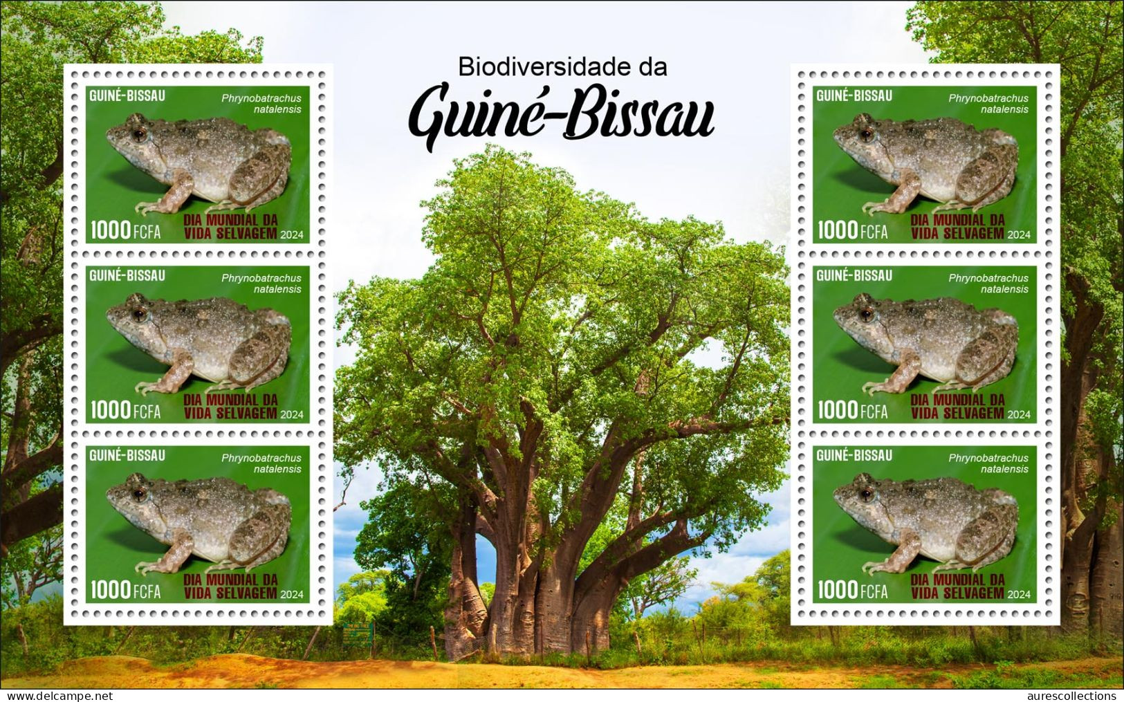 GUINEA BISSAU 2024 MS 6V - REG & OVERPRINT - FROG FROGS GRENOUILLES - BIODIVERSITY - WILDLIFE WORLD DAY - MNH - Grenouilles