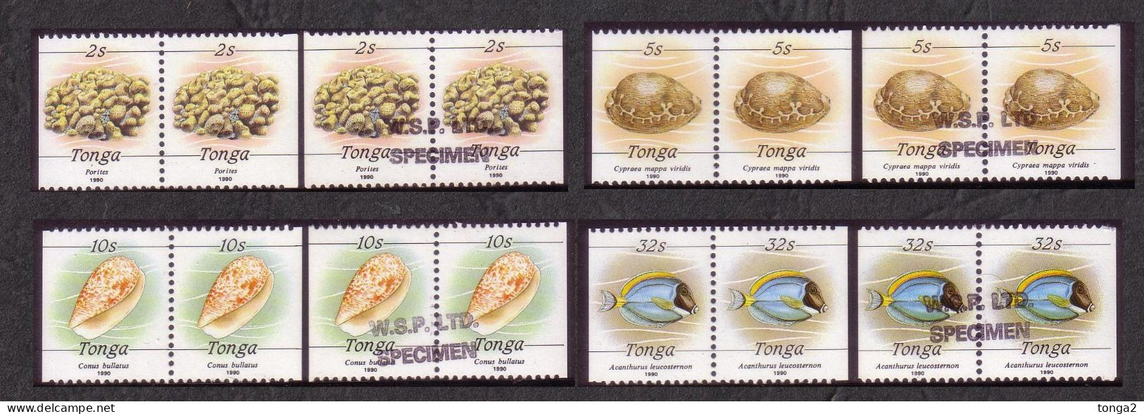 Tonga 1990 Marine Life Stamps From Booklets - 4 X MNH + 4 X WSP Specimen (Walsall Security Printers) - Tonga (1970-...)