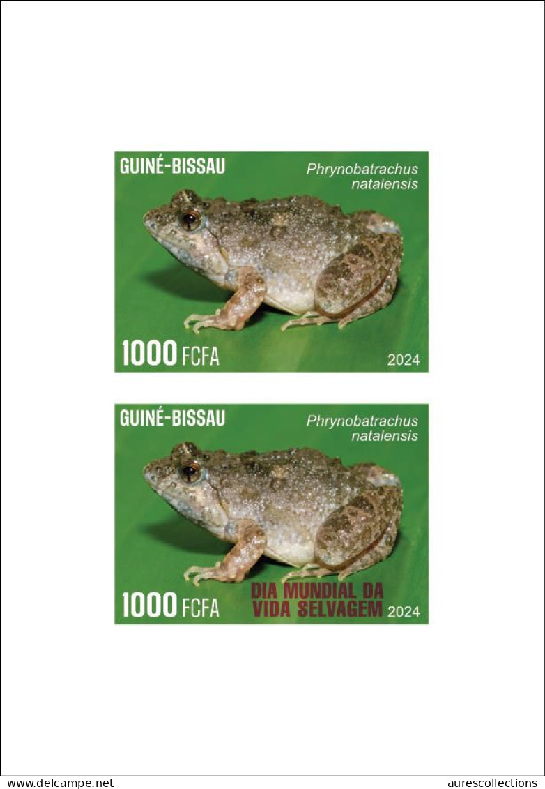 GUINEA BISSAU 2024 DELUXE PROOF - REG & OVERPRINT - FROG FROGS GRENOUILLES - BIODIVERSITY - WILDLIFE WORLD DAY - Grenouilles