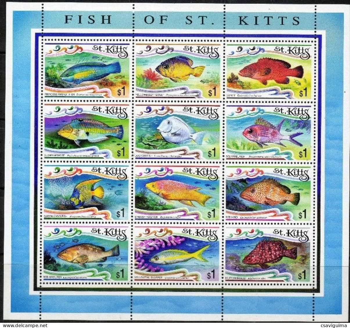 St Kitts - 1997 - Fish - Yv 854/65 - Vissen