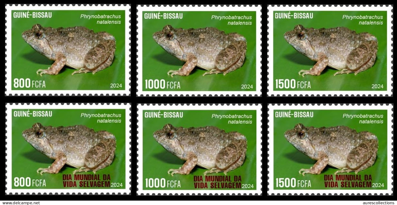 GUINEA BISSAU 2024 SET 6V - REG & OVERPRINT - FROG FROGS GRENOUILLES - BIODIVERSITY - WILDLIFE WORLD DAY - MNH - Frogs