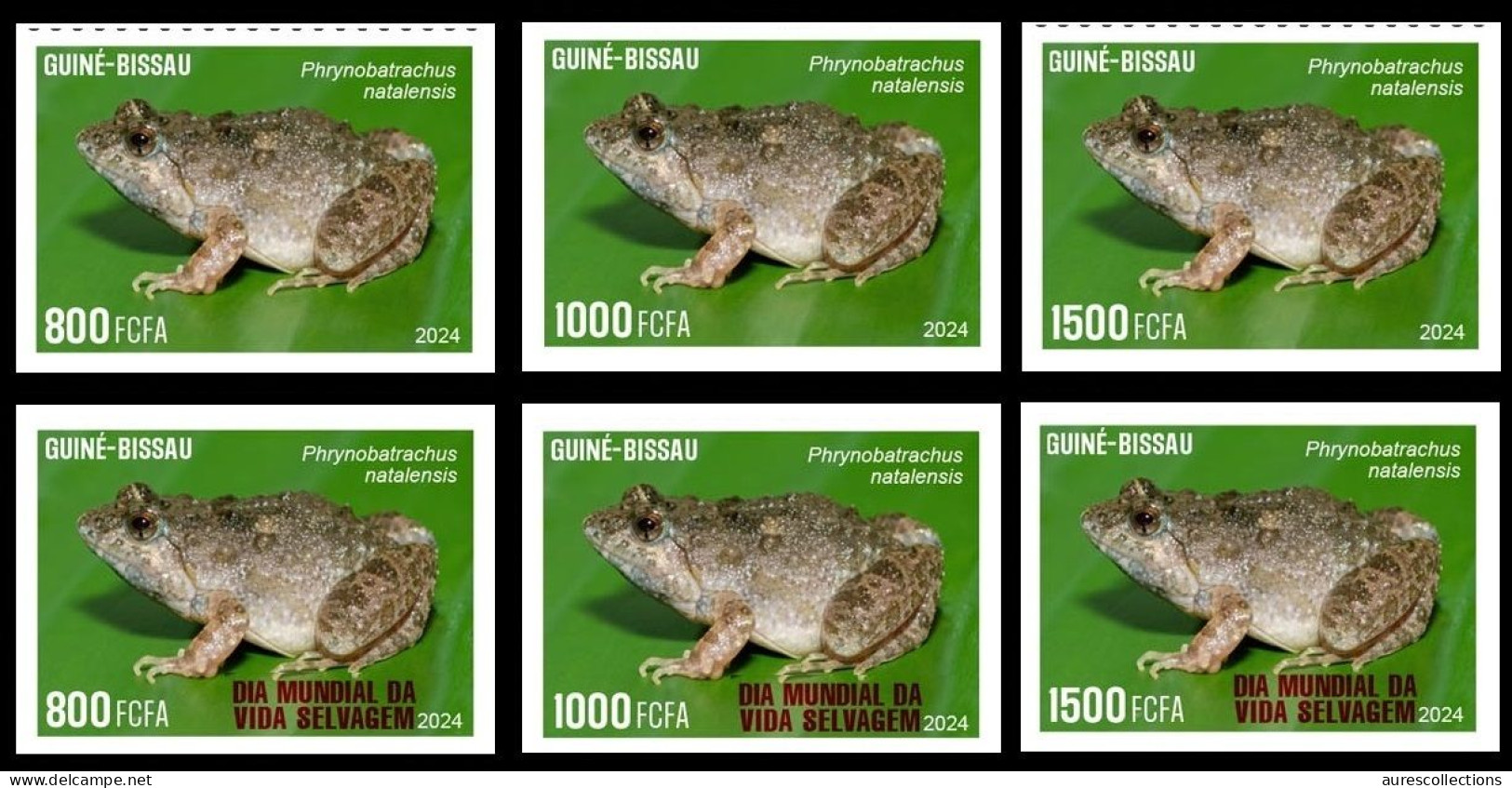 GUINEA BISSAU 2024 IMPERF SET 6V - REG & OVERPRINT - FROG FROGS GRENOUILLES - BIODIVERSITY - WILDLIFE WORLD DAY - MNH - Frogs