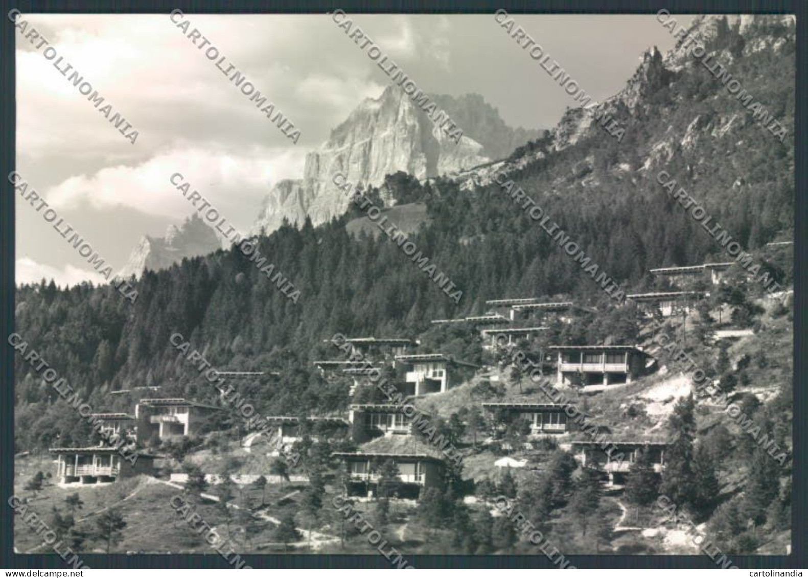 Belluno Borca Corte Di Cadore Foto FG Cartolina ZF6617 - Belluno