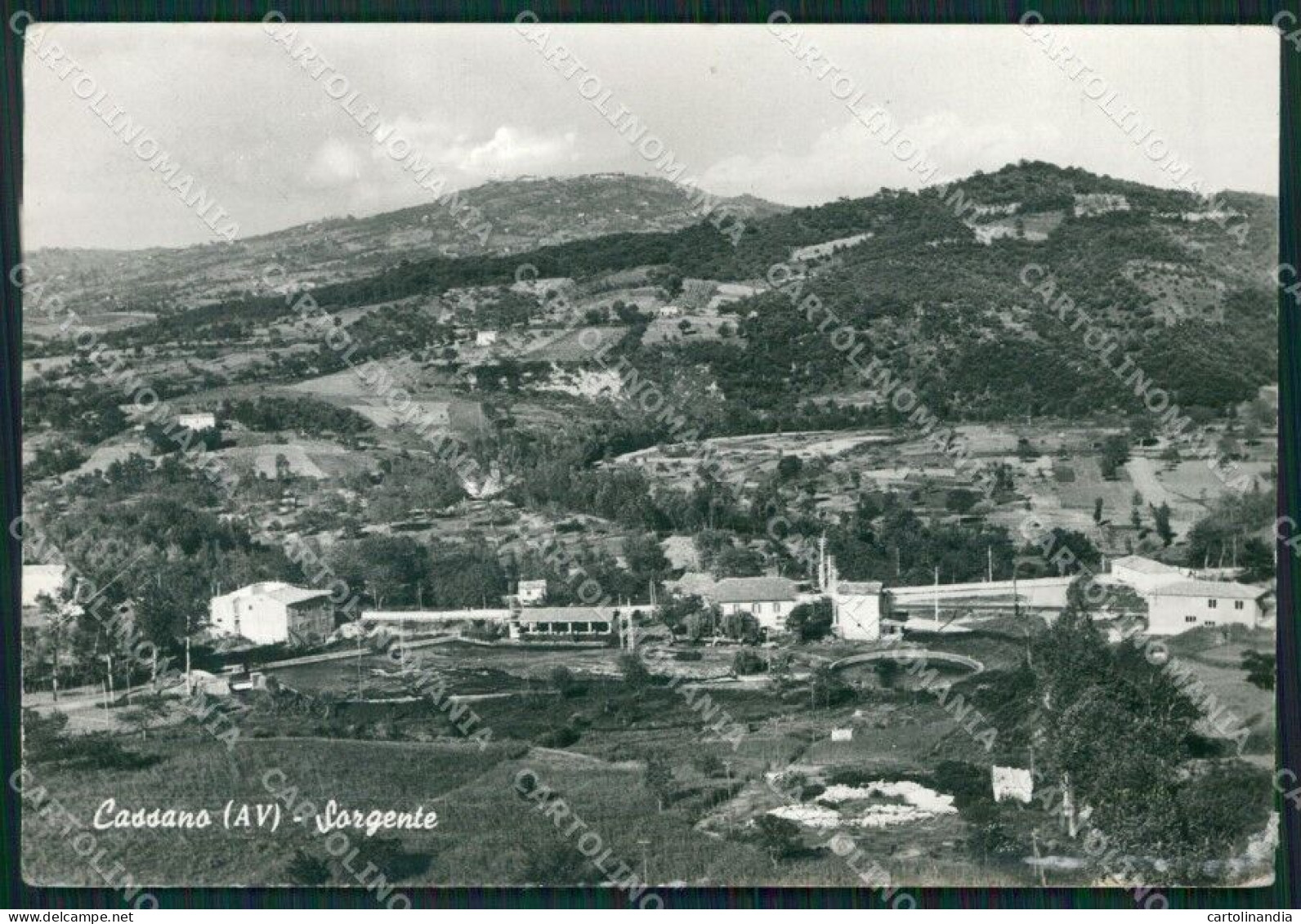 Avellino Cassano Irpino MACCHIA Foto FG Cartolina ZKM7267 - Avellino