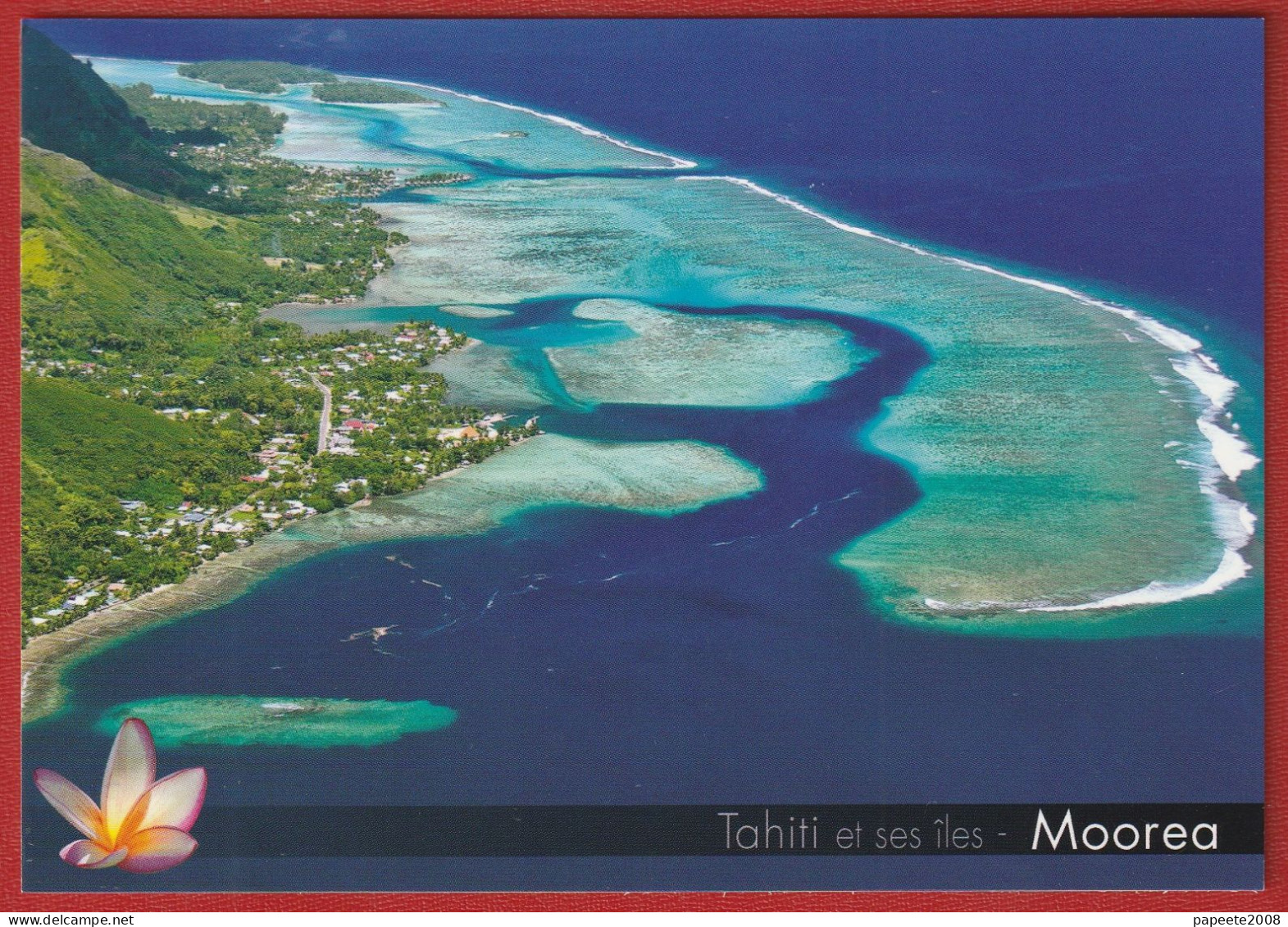 Polynésie Française / Moorea - Côte Nord 361 - Tahiti