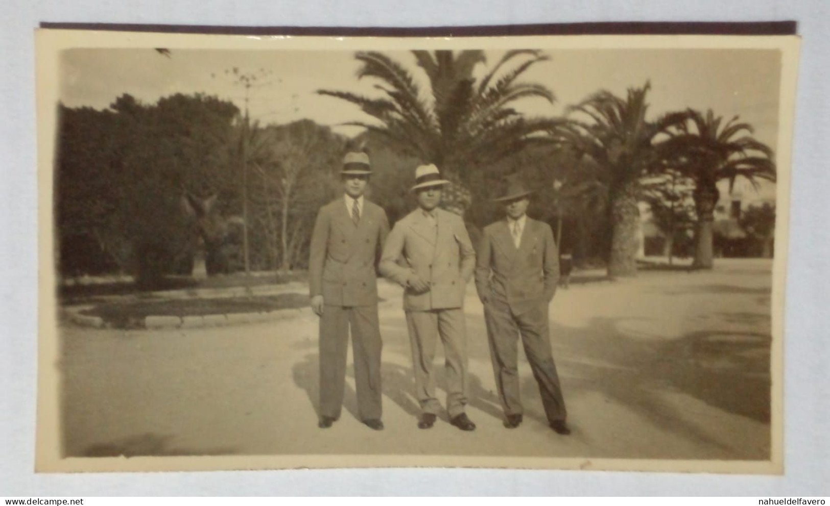 Trois Hommes Devant Des Palmiers. - Anonyme Personen