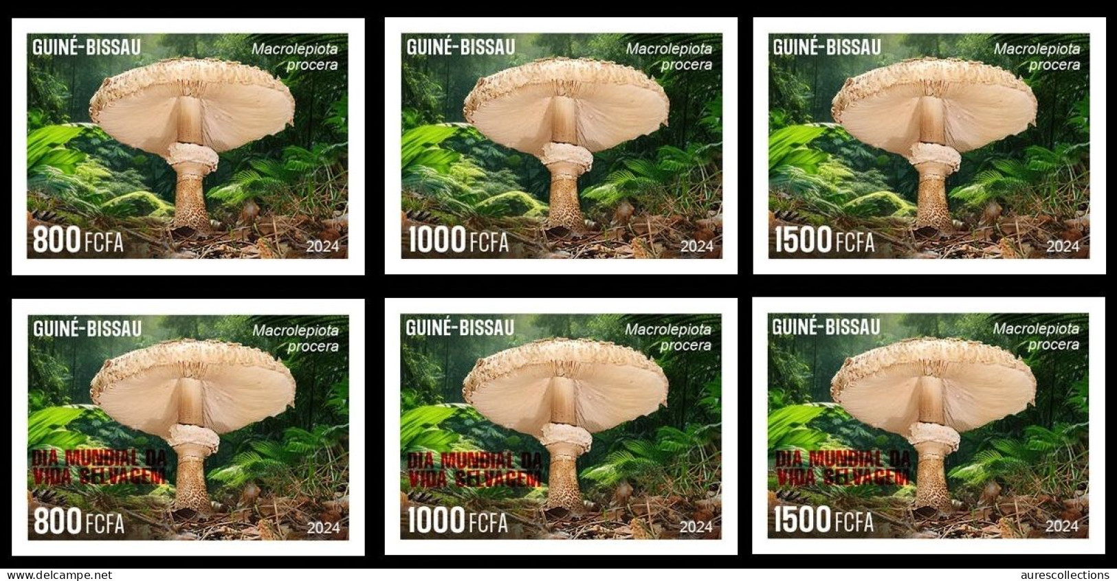 GUINEA BISSAU 2024 IMPERF SET 6V - REG & OVERPRINT - MUSHROOMS CHAMPIGNONS - BIODIVERSITY - WILDLIFE WORLD DAY - MNH - Pilze