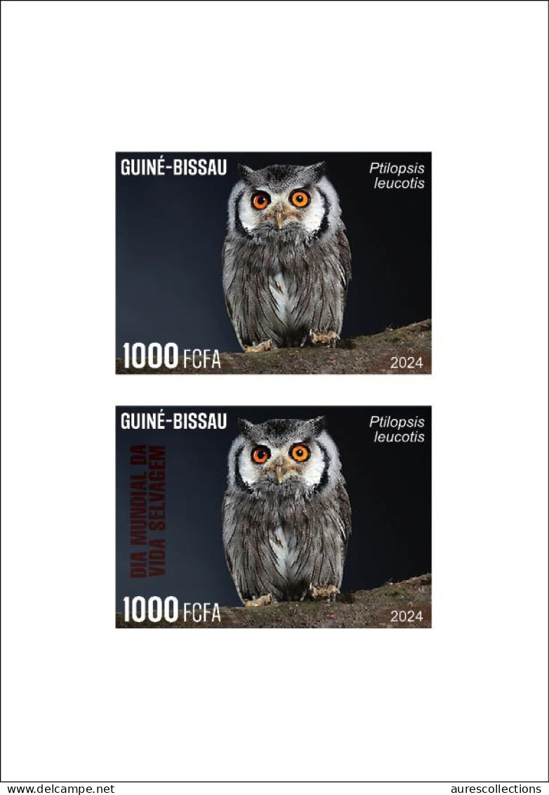 GUINEA BISSAU 2024 DELUXE PROOF - REG & OVERPRINT - OWL OWLS HIBOU HIBOUX - BIODIVERSITY - WILDLIFE WORLD DAY - Gufi E Civette