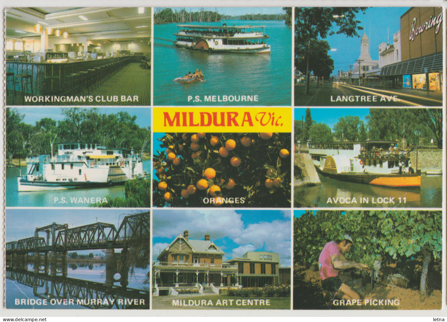 Australia VICTORIA VIC Paddle Boats Fruit Industry MILDURA Nucolorvue MDC4 Multiview Postcard C1970s - Mildura