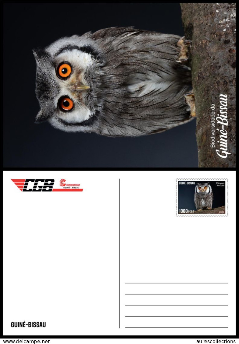 GUINEA BISSAU 2024 STATIONERY CARD - REG & OVERPRINT - OWL OWLS HIBOU HIBOUX - BIODIVERSITY - WILDLIFE WORLD DAY - Eulenvögel