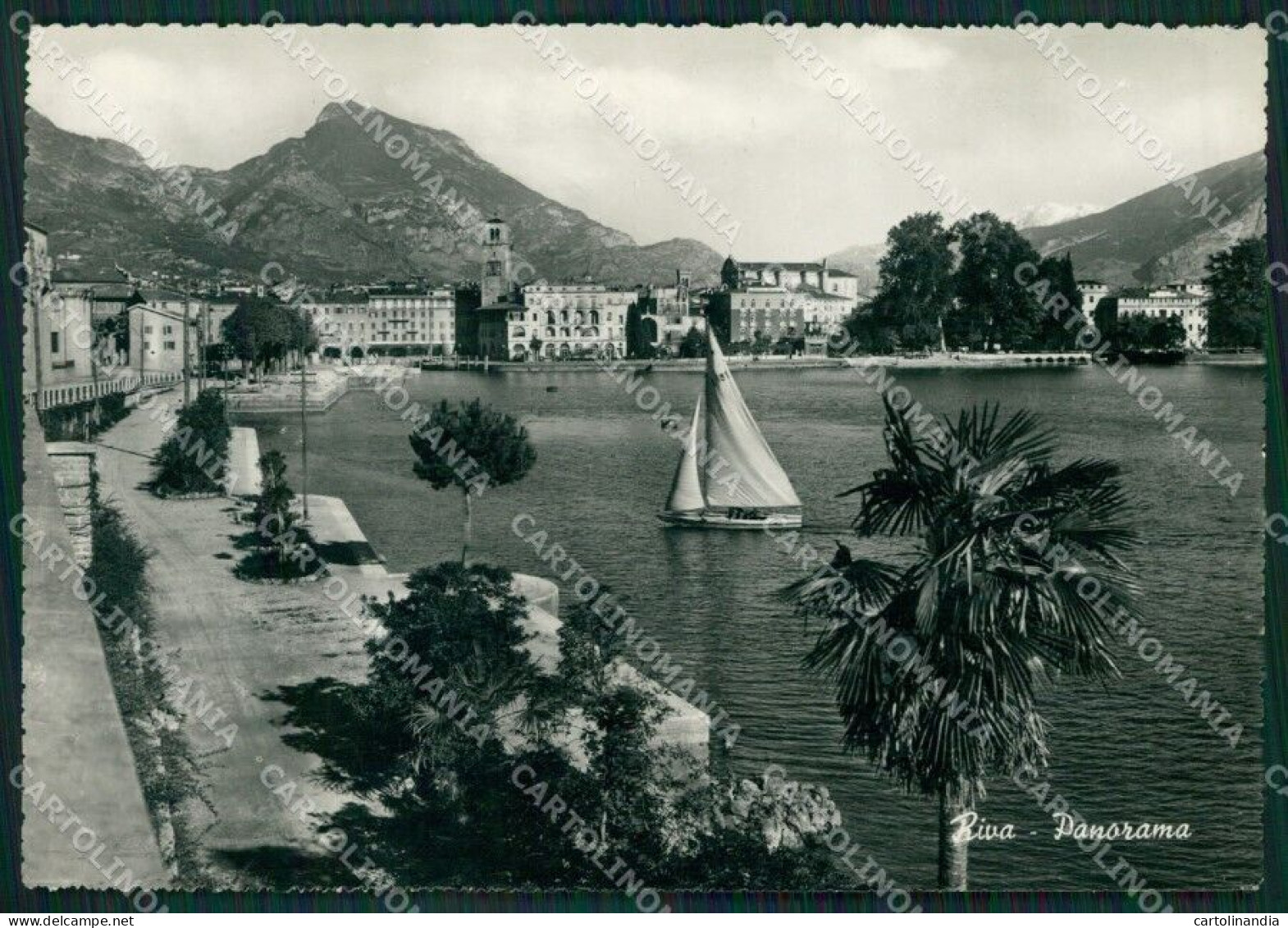 Trento Riva Barca Foto FG Cartolina ZKM7197 - Trento