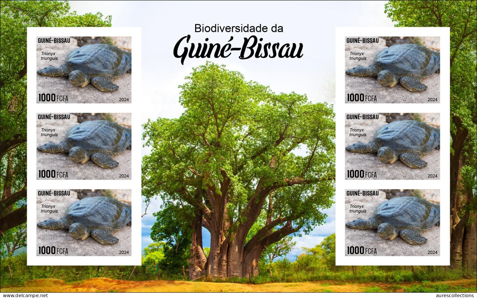 GUINEA BISSAU 2024 IMPERF MS 6V - REG & OVERPRINT - TURTLE TURTLES TORTUES - BIODIVERSITY - WILDLIFE WORLD DAY - MNH - Schildkröten