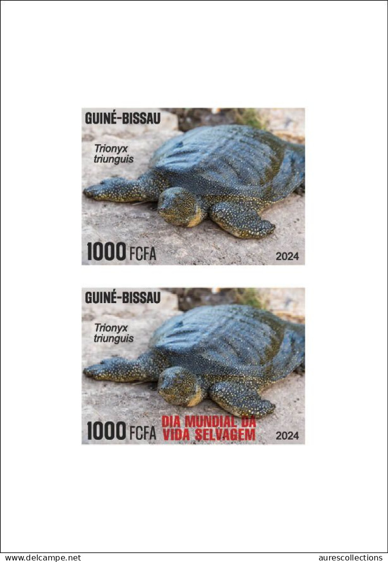 GUINEA BISSAU 2024 DELUXE PROOF - REG & OVERPRINT - TURTLE TURTLES TORTUES - BIODIVERSITY - WILDLIFE WORLD DAY - Turtles
