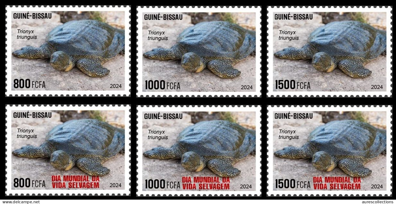 GUINEA BISSAU 2024 SET 6V - REG & OVERPRINT - TURTLE TURTLES TORTUES - BIODIVERSITY - WILDLIFE WORLD DAY - MNH - Tortugas