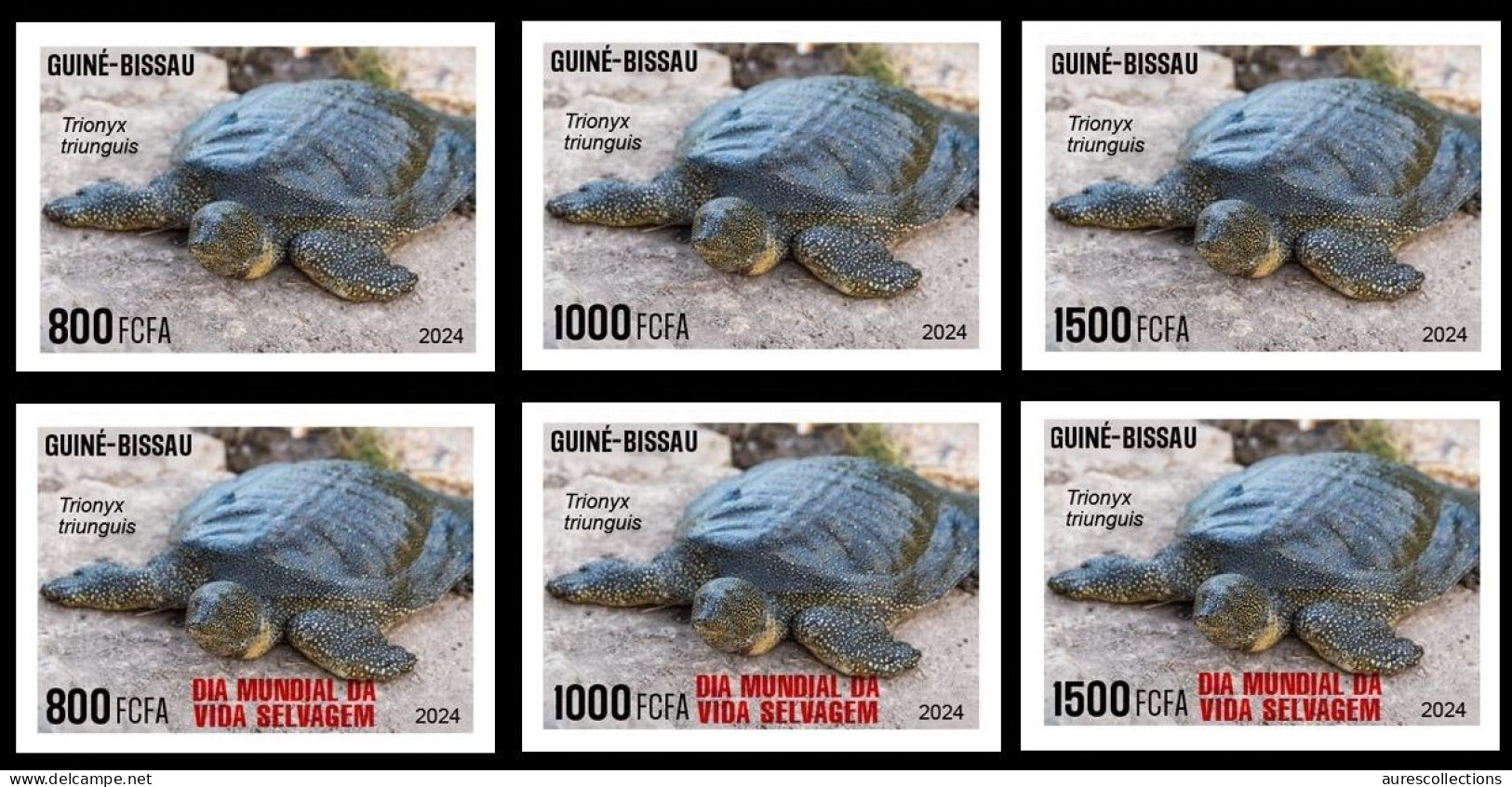GUINEA BISSAU 2024 IMPERF SET 6V - REG & OVERPRINT - TURTLE TURTLES TORTUES - BIODIVERSITY - WILDLIFE WORLD DAY - MNH - Turtles