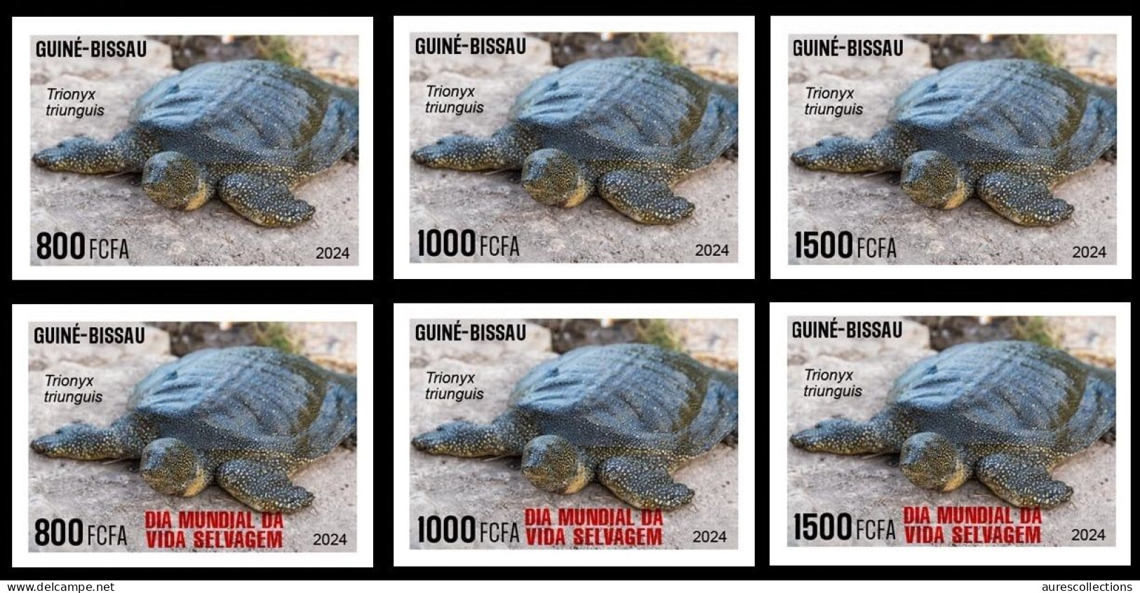 GUINEA BISSAU 2024 IMPERF SET 6V - REG & OVERPRINT - TURTLE TURTLES TORTUES - BIODIVERSITY - WILDLIFE WORLD DAY - MNH - Tortugas