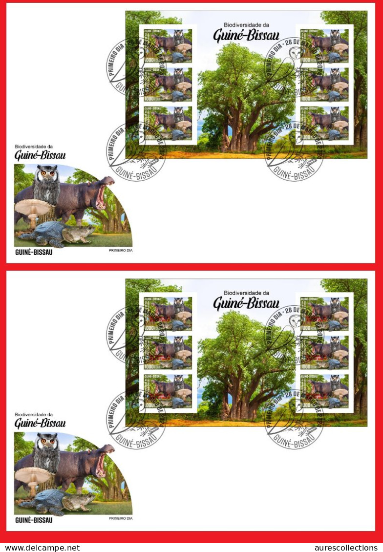 GUINEA BISSAU 2024 FDC IMPERF MS 6V - REG & OVERPRINT - MUSHROOMS OWL OWLS FROG FROGS TURTLE TURTLES HIPPOPOTAMUS BAOBAB - Kikkers