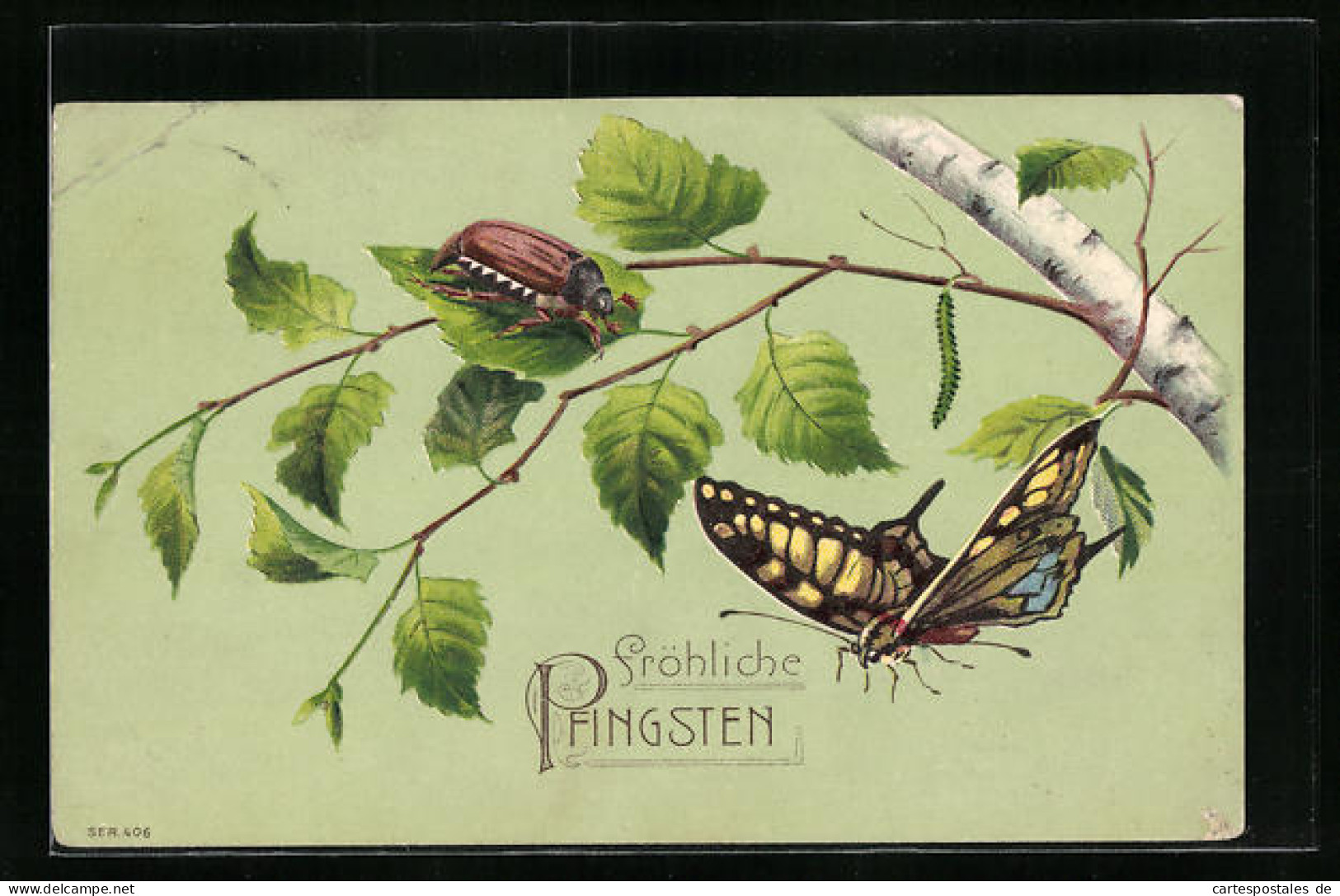 Präge-AK Ein Maikäfer Und Ein Schmetterling Auf Dem Zweig Einer Birke, Pfingstgruss  - Insects